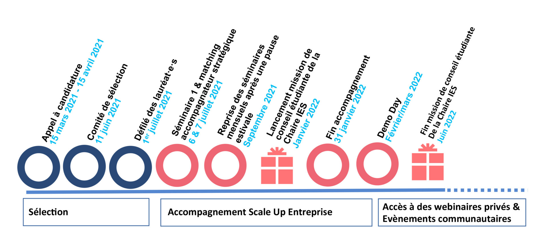 Programme Scale Up Entreprise Antropia ESSEC 